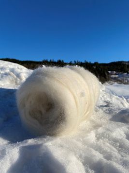 Naturhvitt kardebånd 