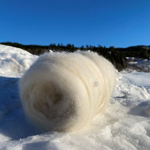 Naturhvitt kardebånd 