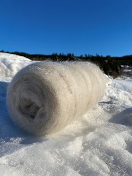 Kardebånd i naturhvitt på sne