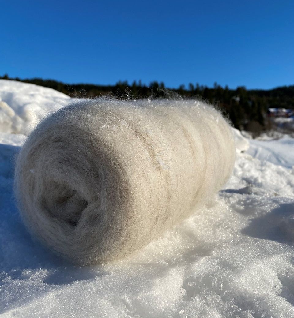 Kardebånd i naturhvitt på sne