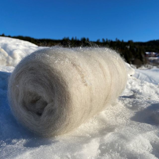 Kardebånd i naturhvitt på sne
